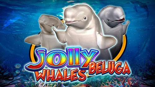 Jolly Beluga Whales - Spin City - Congo